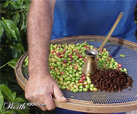 Photoshop Design by Lacenflanl