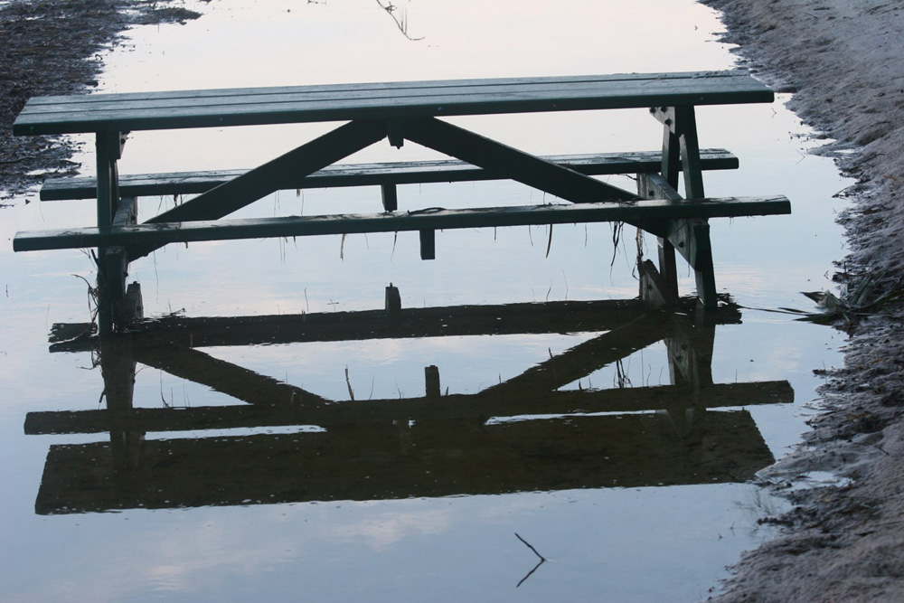 Photography by neoplasticsniper for DesignCrowd (Community Contests) | Design #9021657