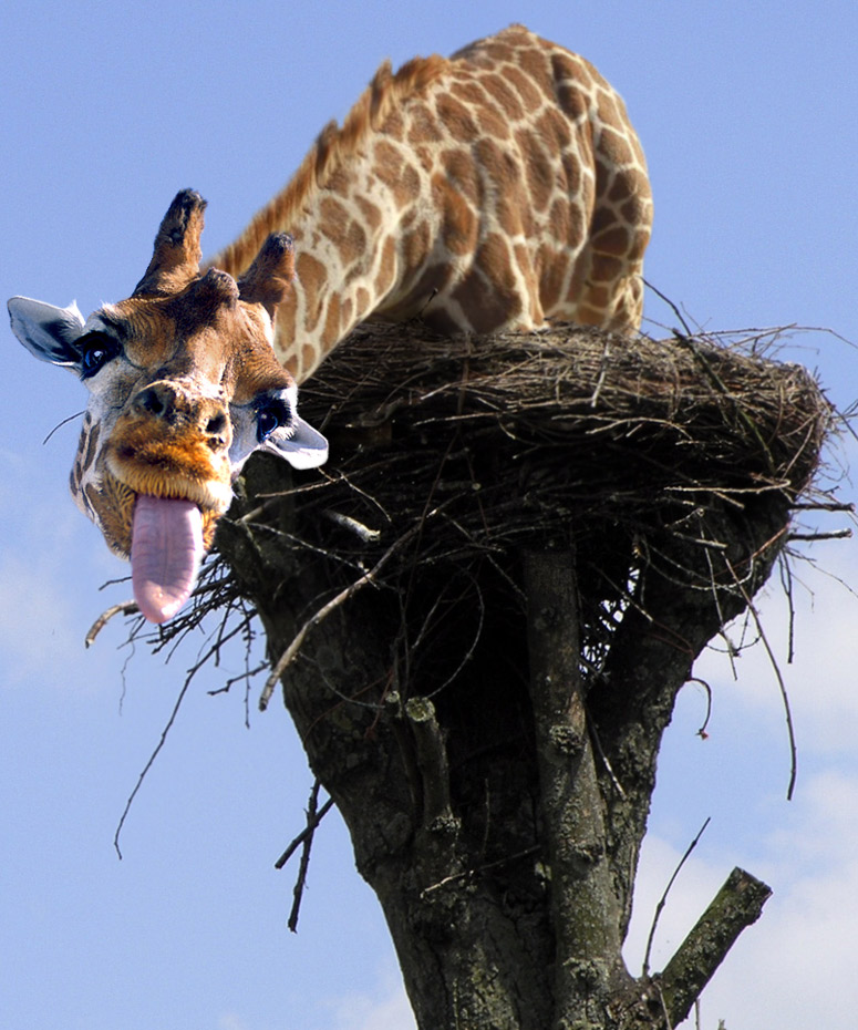 Photoshop Design by HDoyer for DesignCrowd (Community Contests) | Design #9013851