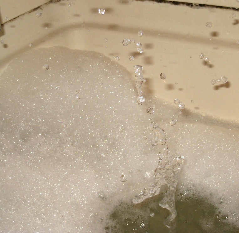 Photography by kelaltieri for DesignCrowd (Community Contests) | Design #9021725