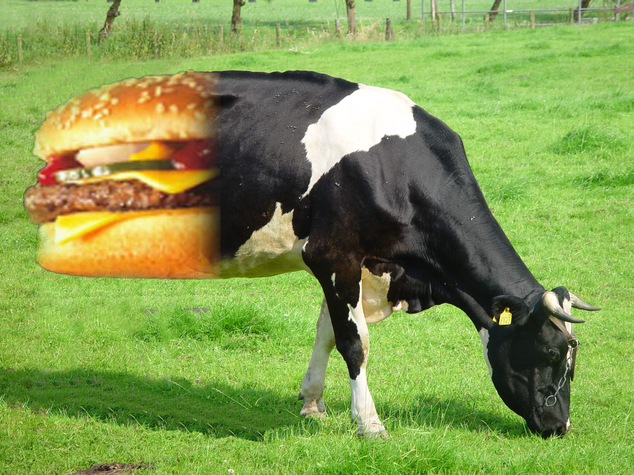 Diseño de Photoshop por Spawnofsatin para DesignCrowd (Community Contests) | Diseño #9016529