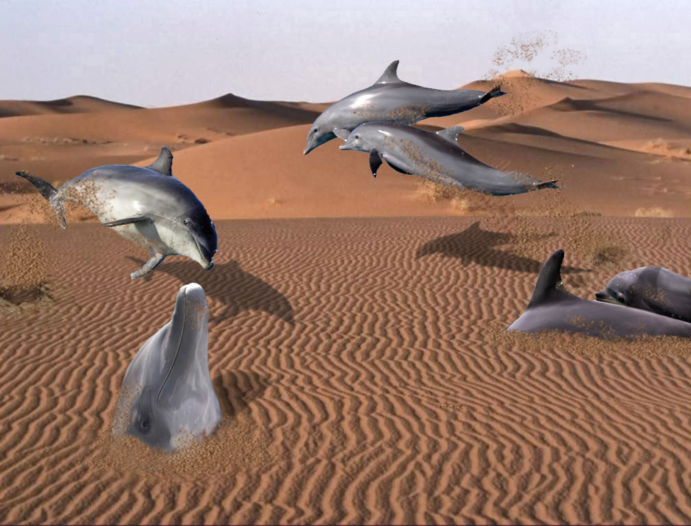 Design Photoshop par tanwal pour DesignCrowd (Community Contests) | Design #9013855