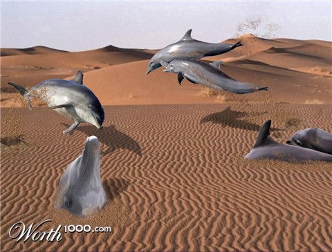 Photoshop Design by tanwal