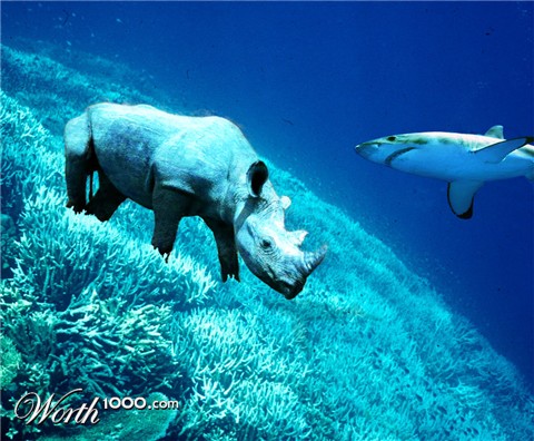 Photoshop Design by Mechatron