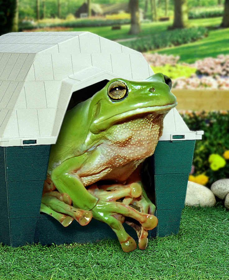 Photoshop Design by ozplasmic for DesignCrowd (Community Contests) | Design #9013770