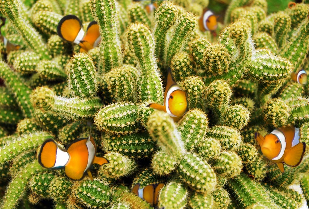 Design Photoshop par bananasfritters pour DesignCrowd (Community Contests) | Design #9013845