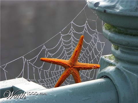 Photoshop Design by toastbrot