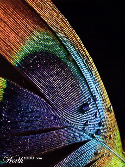 Photography by IsleofJura