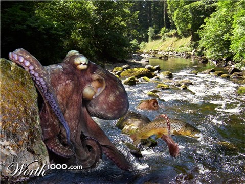 Photoshop Design by PixelDustMT