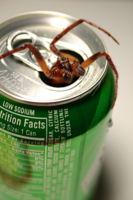 Photoshop Design by endingswithaz for DesignCrowd (Community Contests) | Design #9013889