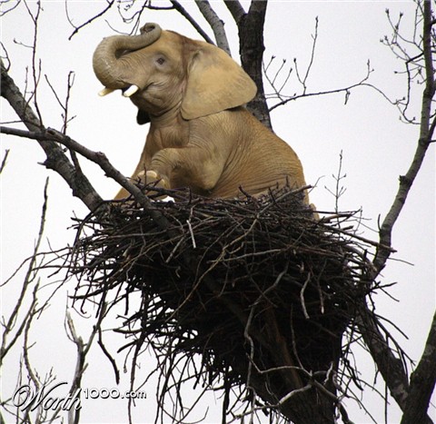 Photoshop Design by Fishwife