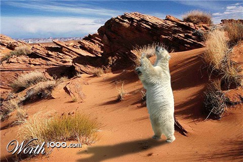 Photoshop Design by tarcisiocunha