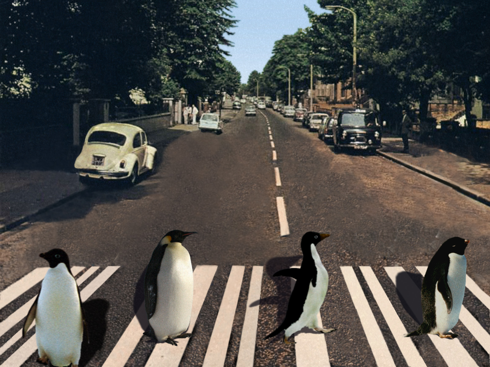 Photoshop Design by DarkTanis for DesignCrowd (Community Contests) | Design #9013901