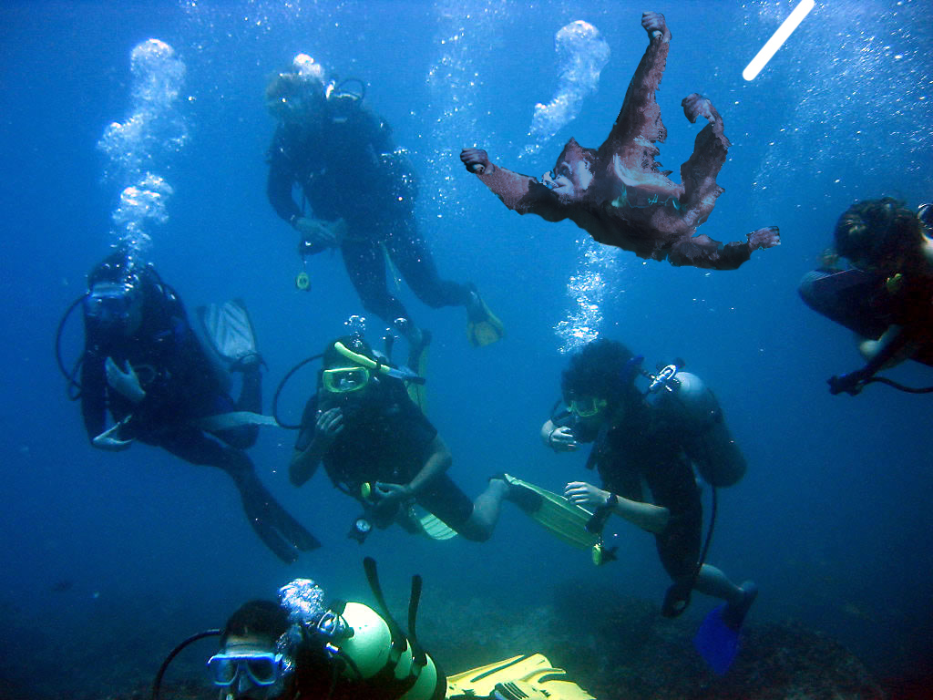 Photoshop Design by Philly8709 for DesignCrowd (Community Contests) | Design #9014015