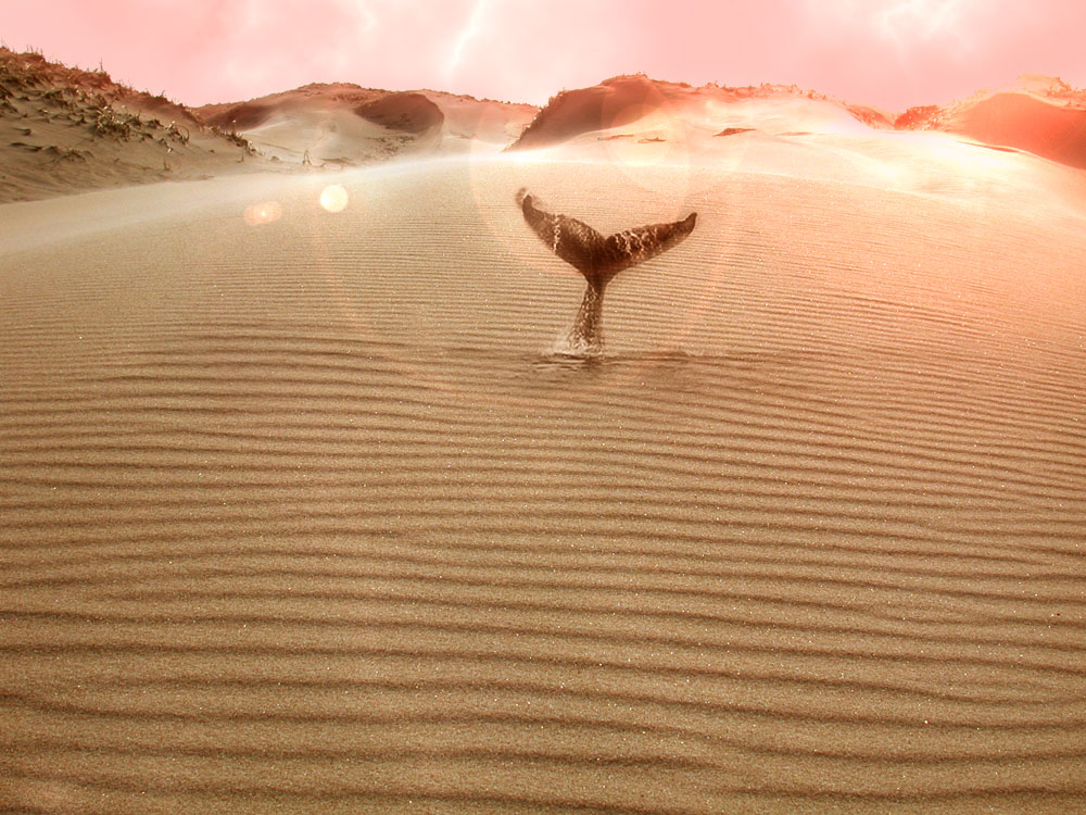 Photoshop Design by yamila for DesignCrowd (Community Contests) | Design #9013969