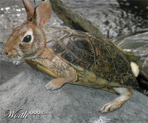 Photoshop Design by pixel8r