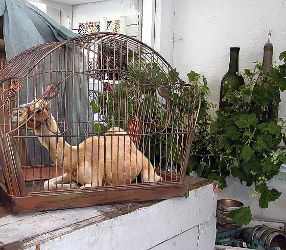 Photoshop-Design von RickLaMesa für DesignCrowd (Community Contests) | Design #9013921