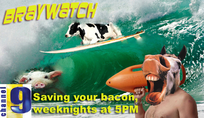 Photoshop Design by nedradio for DesignCrowd (Community Contests) | Design #9017629