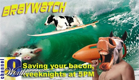 Photoshop Design by nedradio