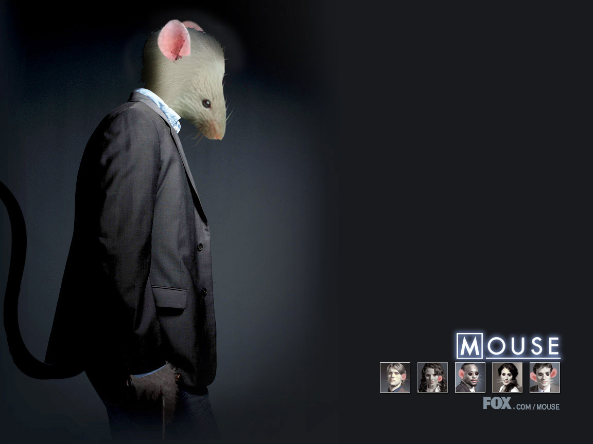 Photoshop Design by Boatpile for DesignCrowd (Community Contests) | Design #9017757