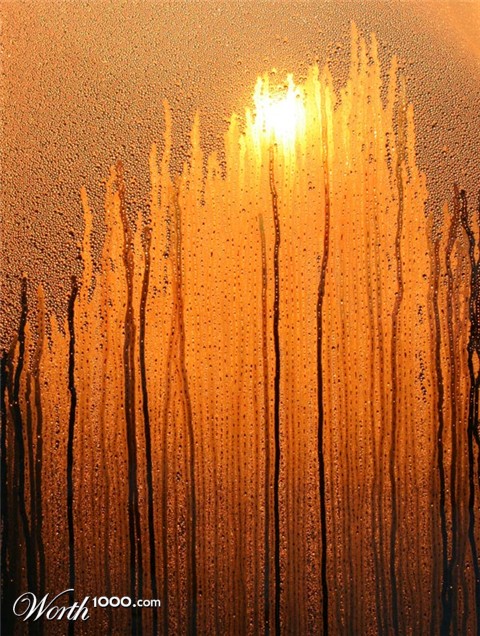 Photography by FatherHinie