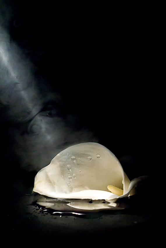 Photography by Marian for DesignCrowd (Community Contests) | Design #9010965