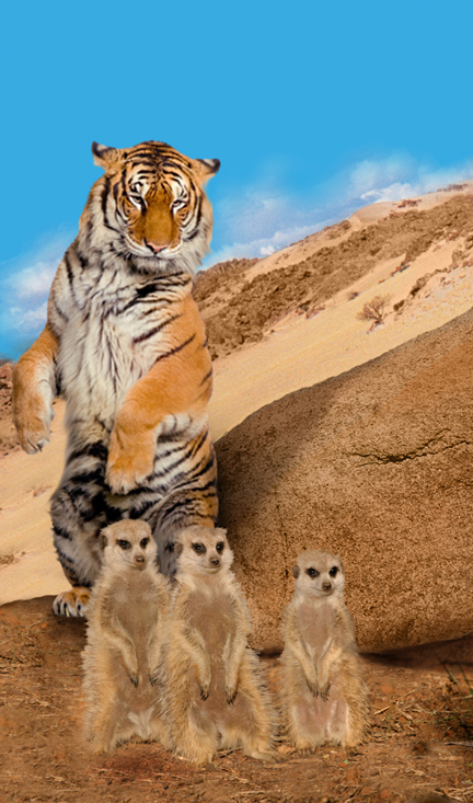 Design Photoshop par lcross pour DesignCrowd (Community Contests) | Design #9009971