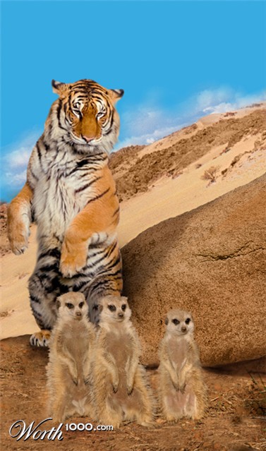 Photoshop Design by lcross