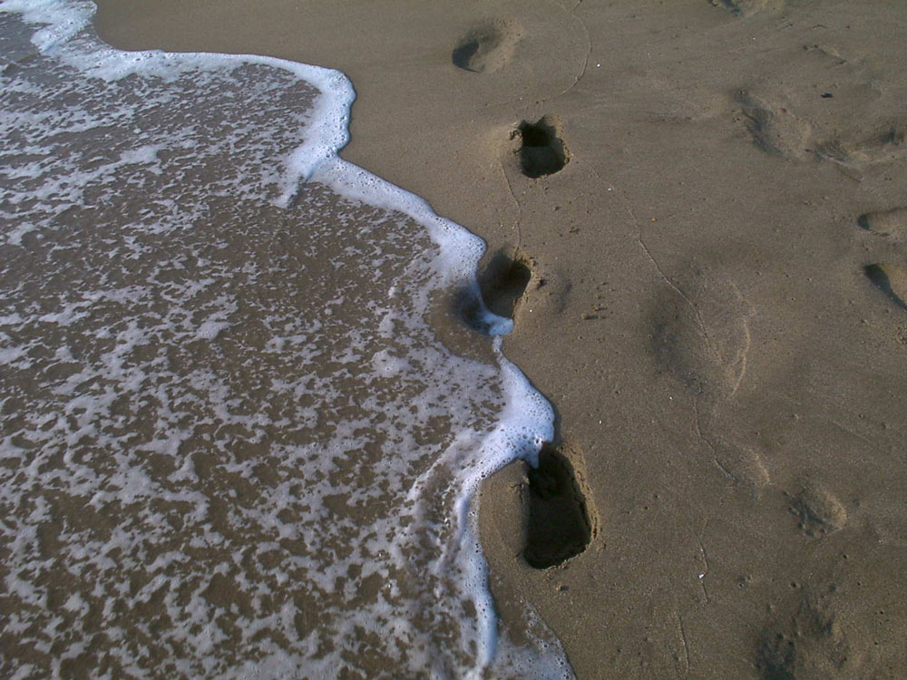 Fotografía por Zampino para DesignCrowd (Community Contests) | Diseño #9021688