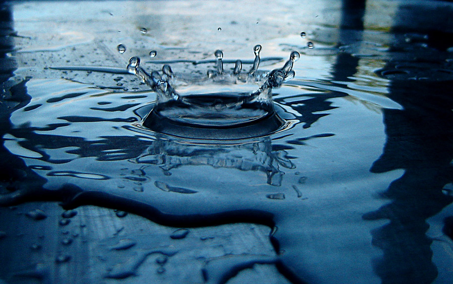 Fotografía por DoubleDizzle para DesignCrowd (Community Contests) | Diseño #9021742