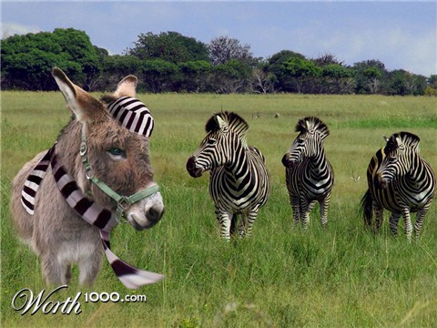 Photoshop Design by Rhopal