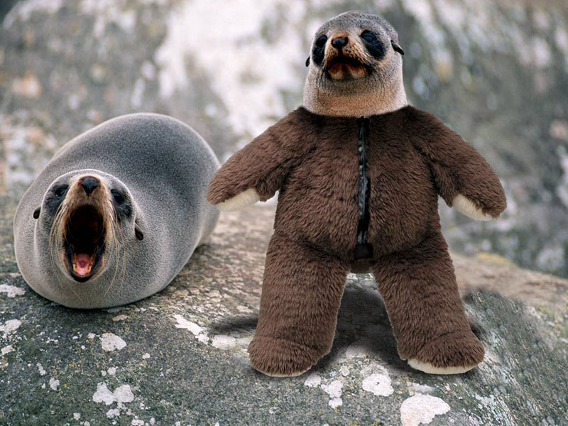 Photoshop Design by Alloni for DesignCrowd (Community Contests) | Design #9010014