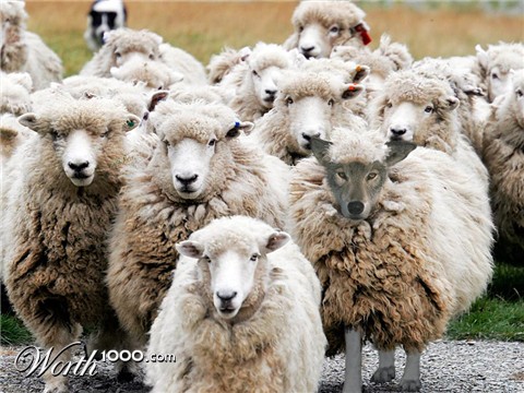 Photoshop Design by Lokstok