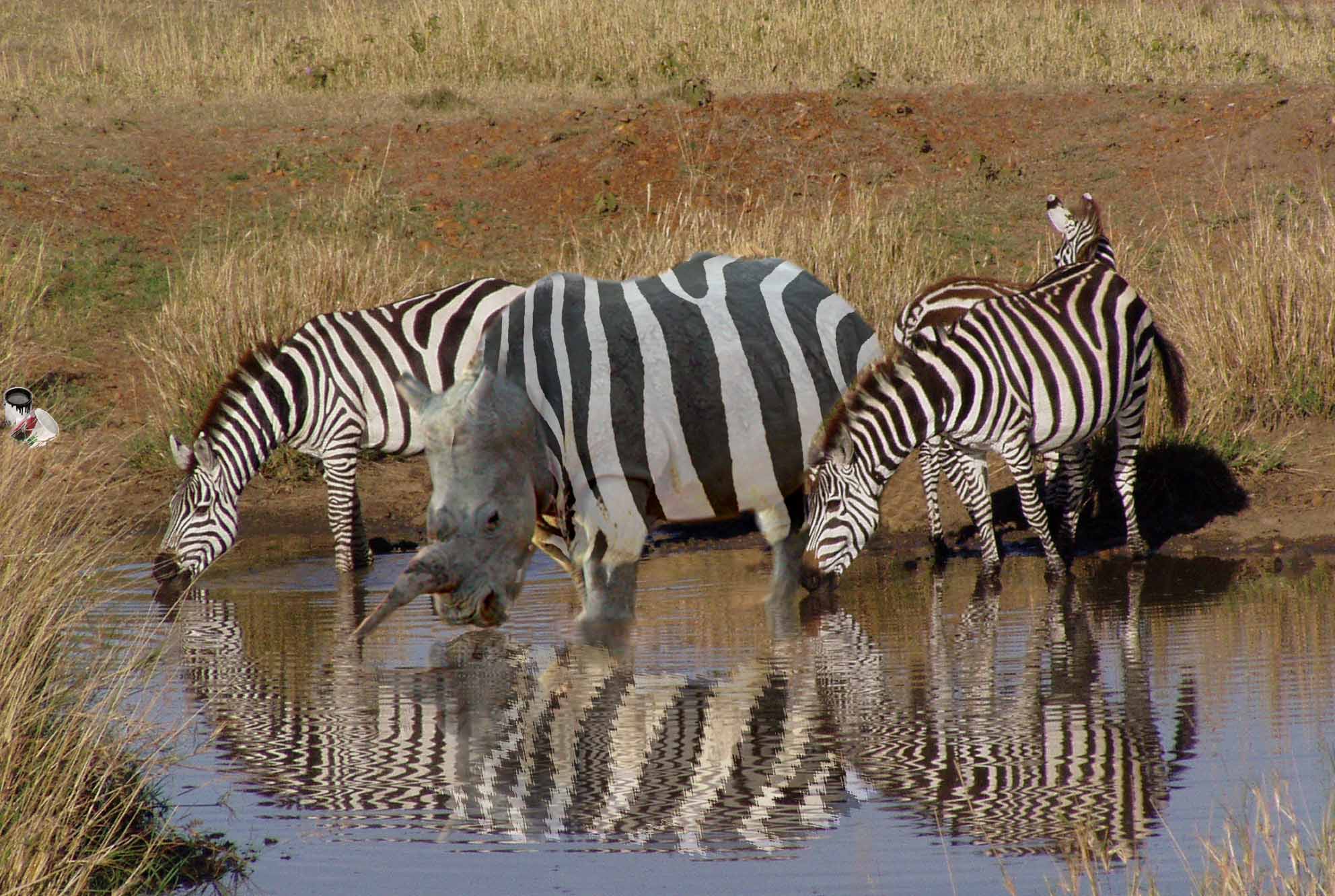 Photoshop Design by chilosa for DesignCrowd (Community Contests) | Design #9010078