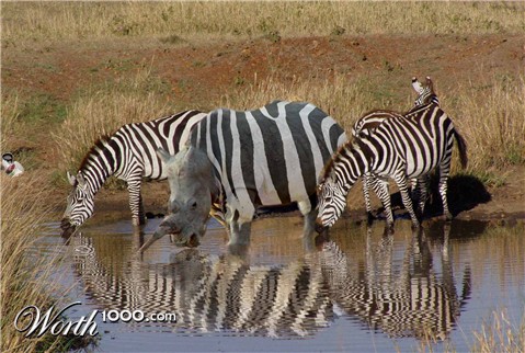 Photoshop Design by chilosa