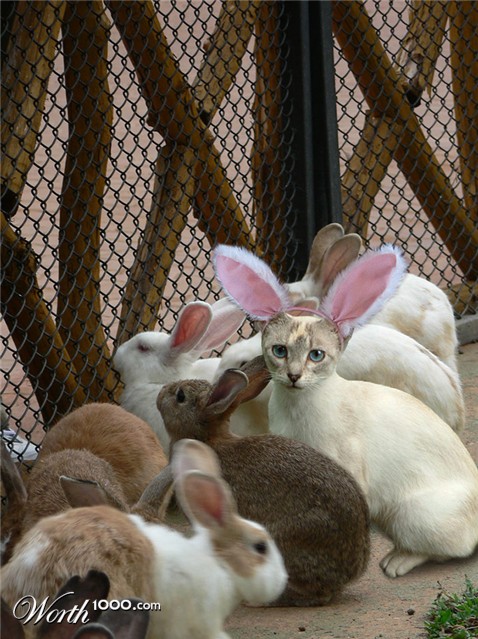 Photoshop Design by pixel8r