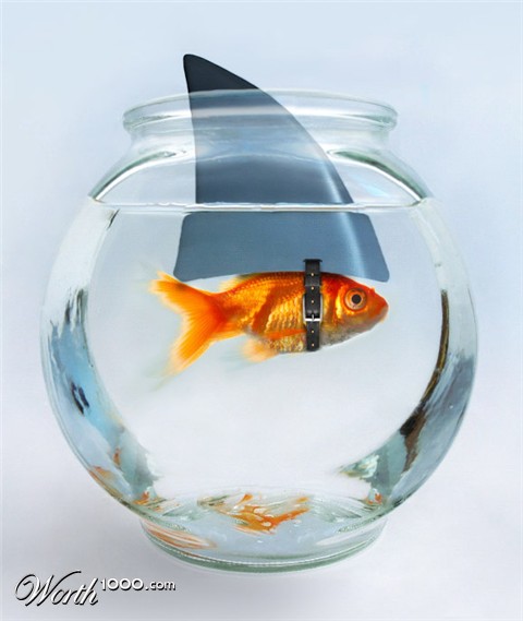 Photoshop Design by ozlemarc