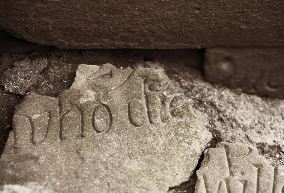 Photographie par Massie pour DesignCrowd (Community Contests) | Design #9010981