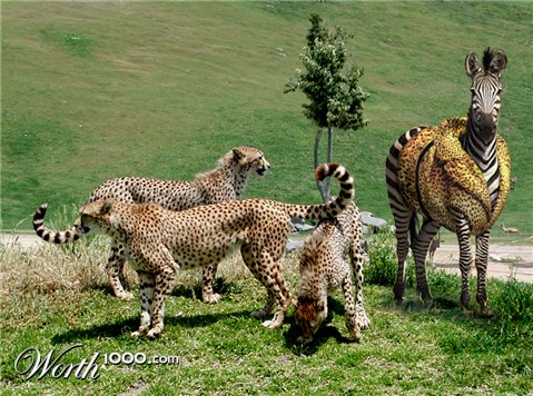 Photoshop Design by brequist