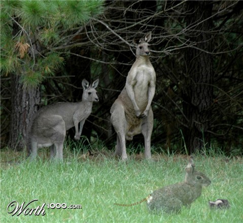 Photoshop Design by GrumpyTX