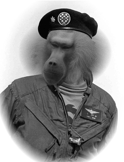 Diseño de Photoshop por Fishwife para DesignCrowd (Community Contests) | Diseño #9010036