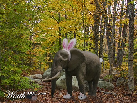 Photoshop Design by TwoLines