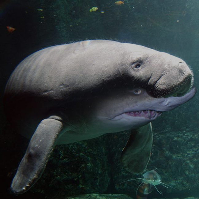 Photoshop Design by bennyandthemets for DesignCrowd (Community Contests) | Design #9010166