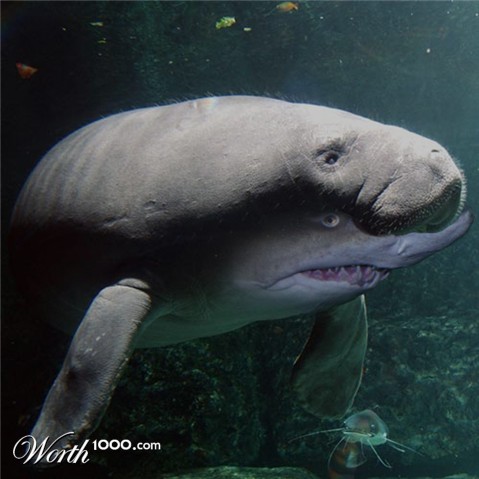 Photoshop Design by bennyandthemets