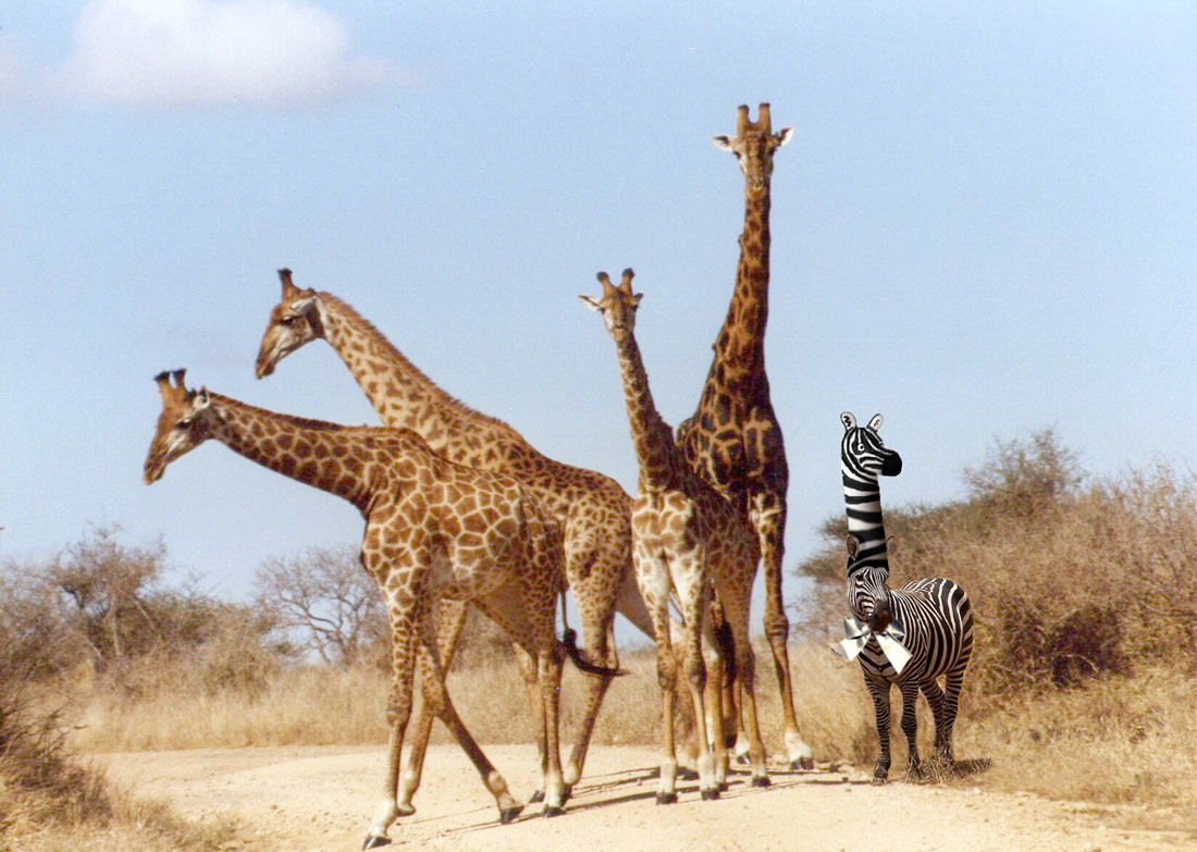 Photoshop-Design von cleareyes für DesignCrowd (Community Contests) | Design #9010112