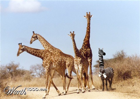 Photoshop Design by cleareyes