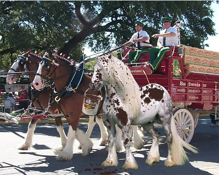 Design Photoshop par Lacenflanl pour DesignCrowd (Community Contests) | Design #9010161