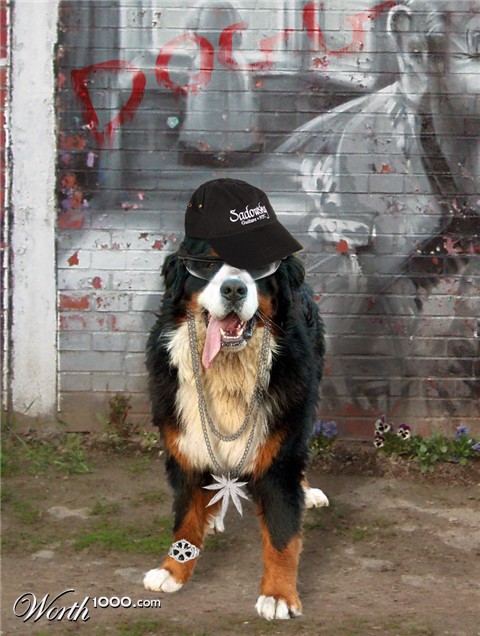 Photoshop Design by Michal1978