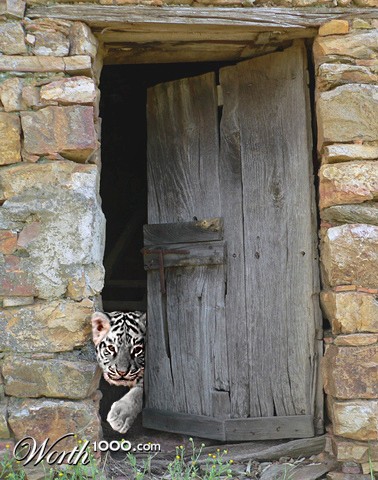 Photoshop Design by Yukarangz