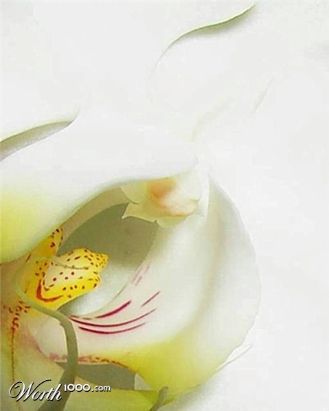 Photography by Berilu